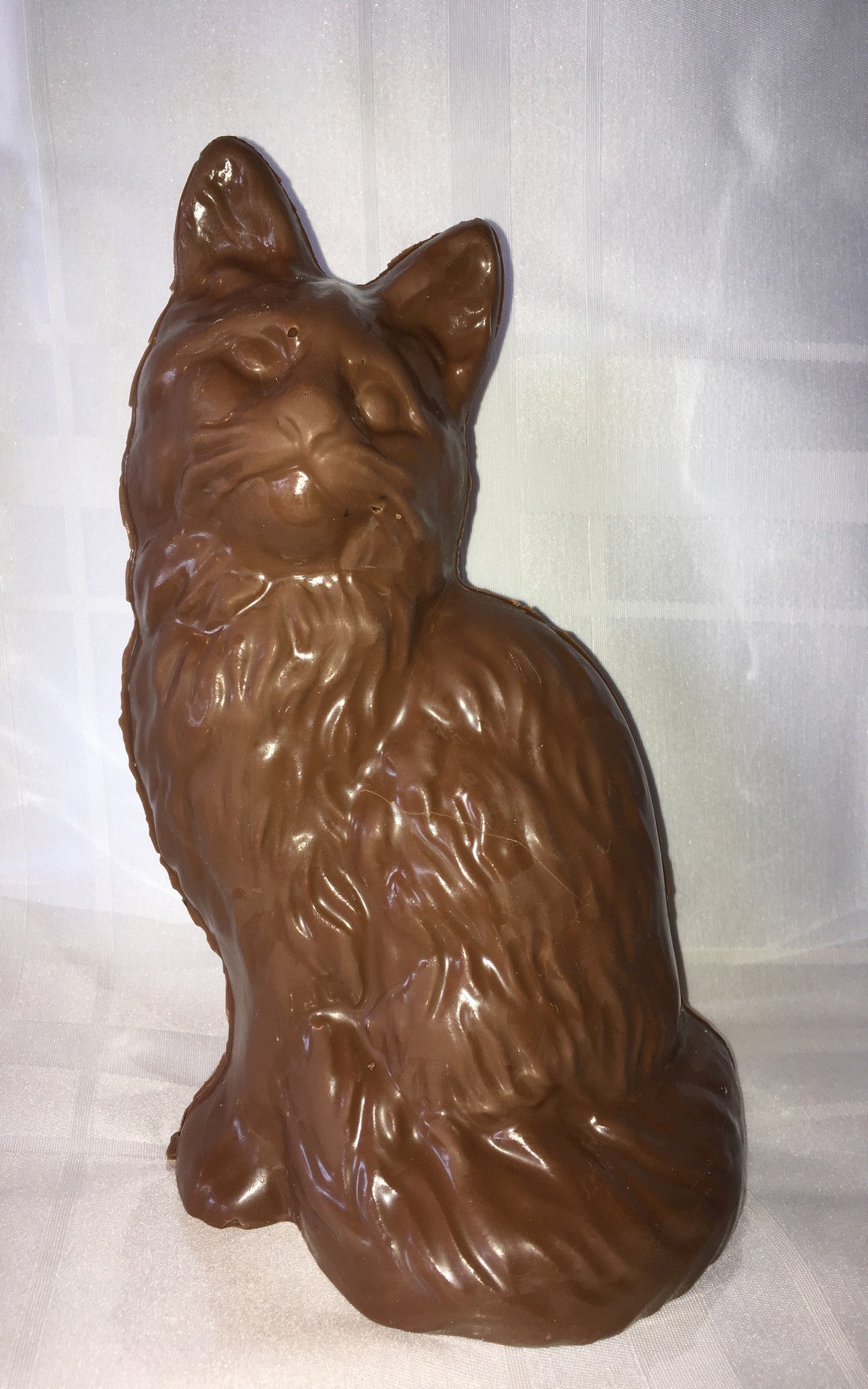 Chocolat belge chat assis gros Taff 400g environ
