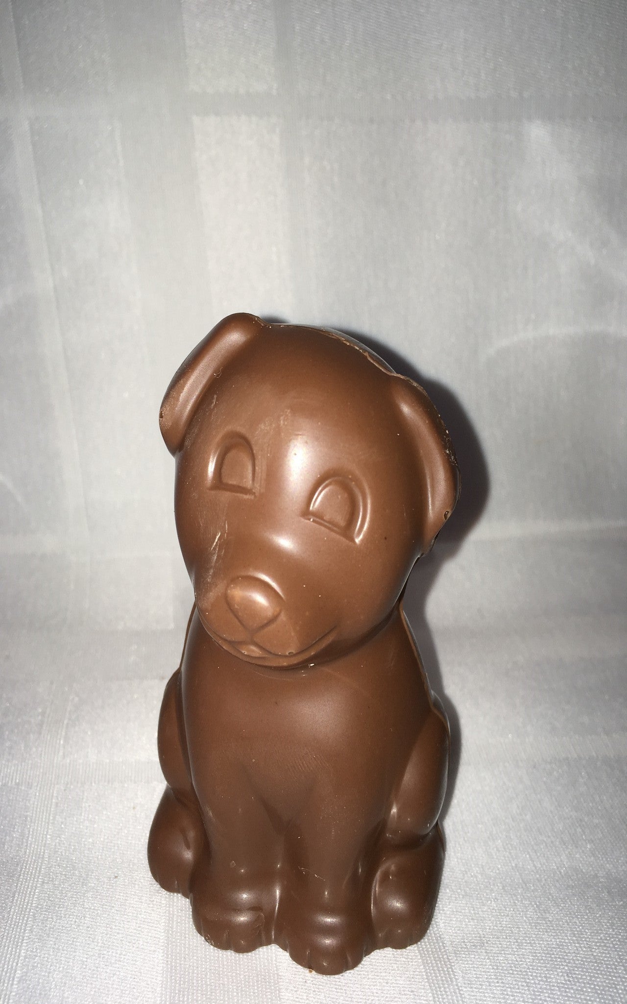 Chocolat belge chien bébé mignon 80g environ