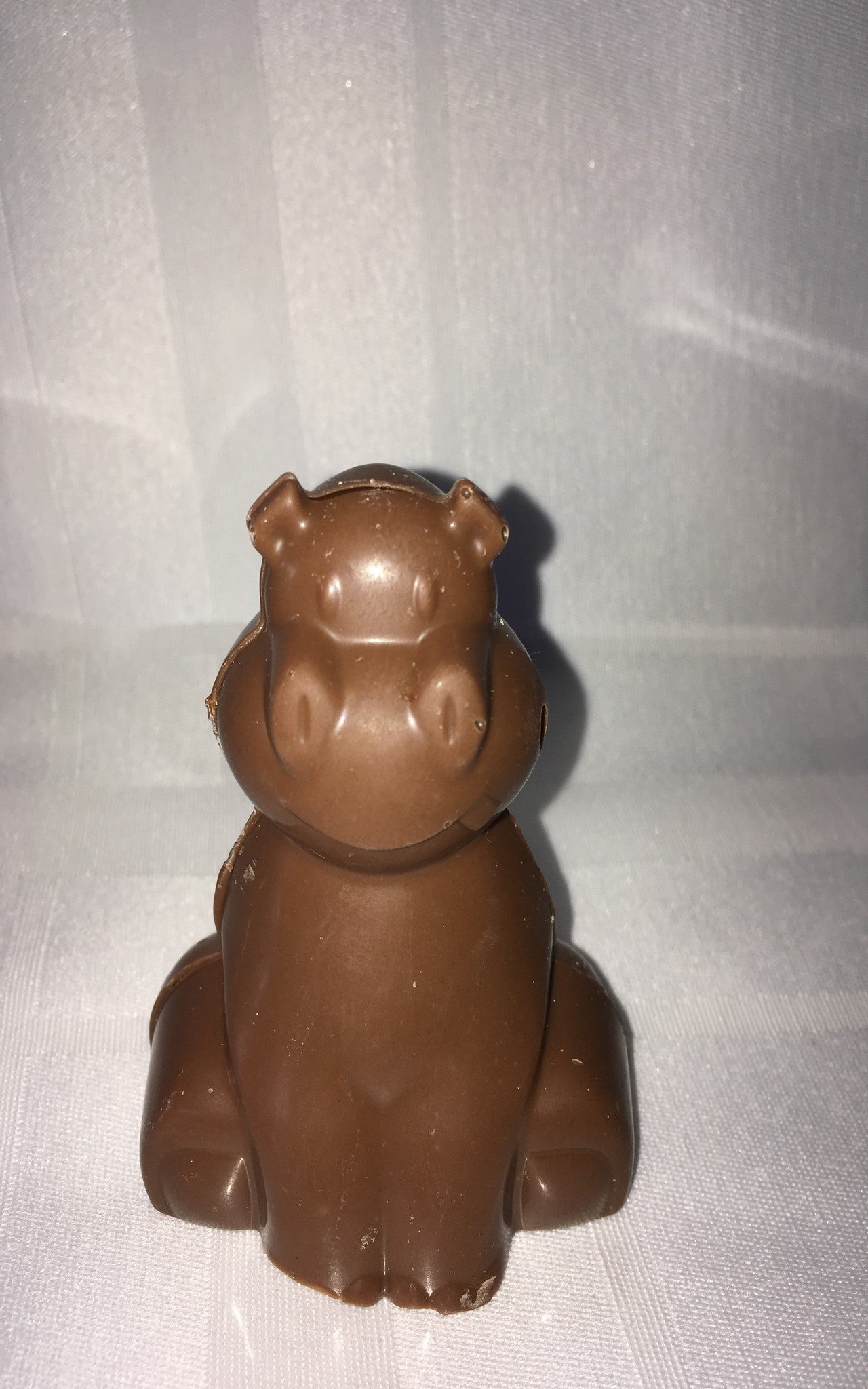 Chocolat belge hippopotame bébé