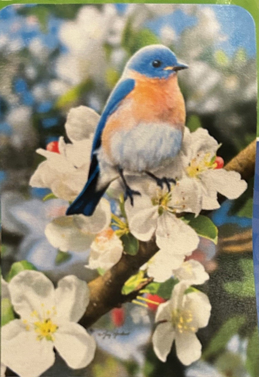 Drapeau l'oiseau bleu 28x40