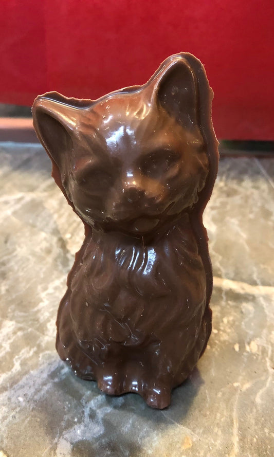 Chocolat belge chaton bébé  100g environ