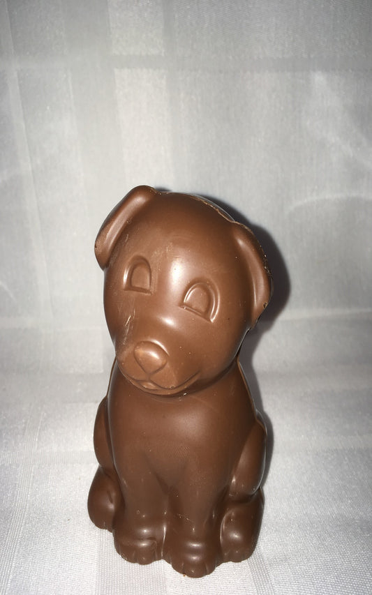 Chocolat belge chien bébé mignon  80g environ