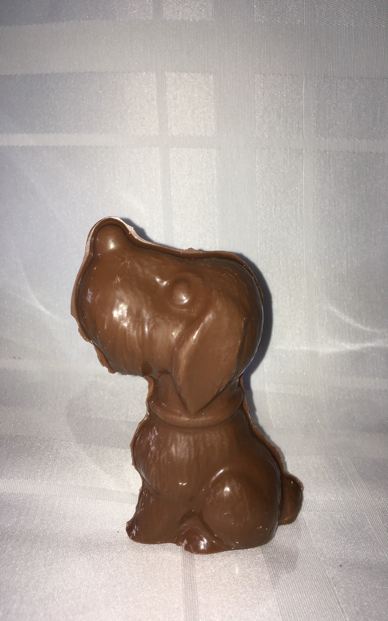 Chocolat belge chien poppy de coté 50g environ