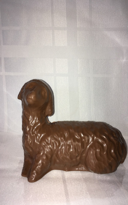 Chocolat belge mouton couché