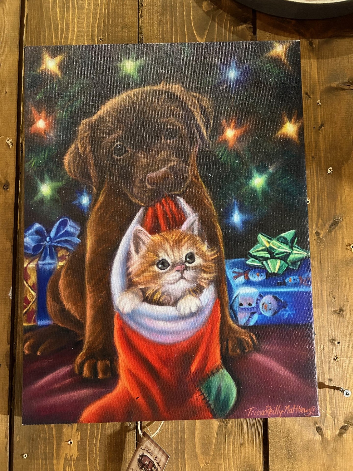 Tableau canevas chien et chat lumuneux12x16